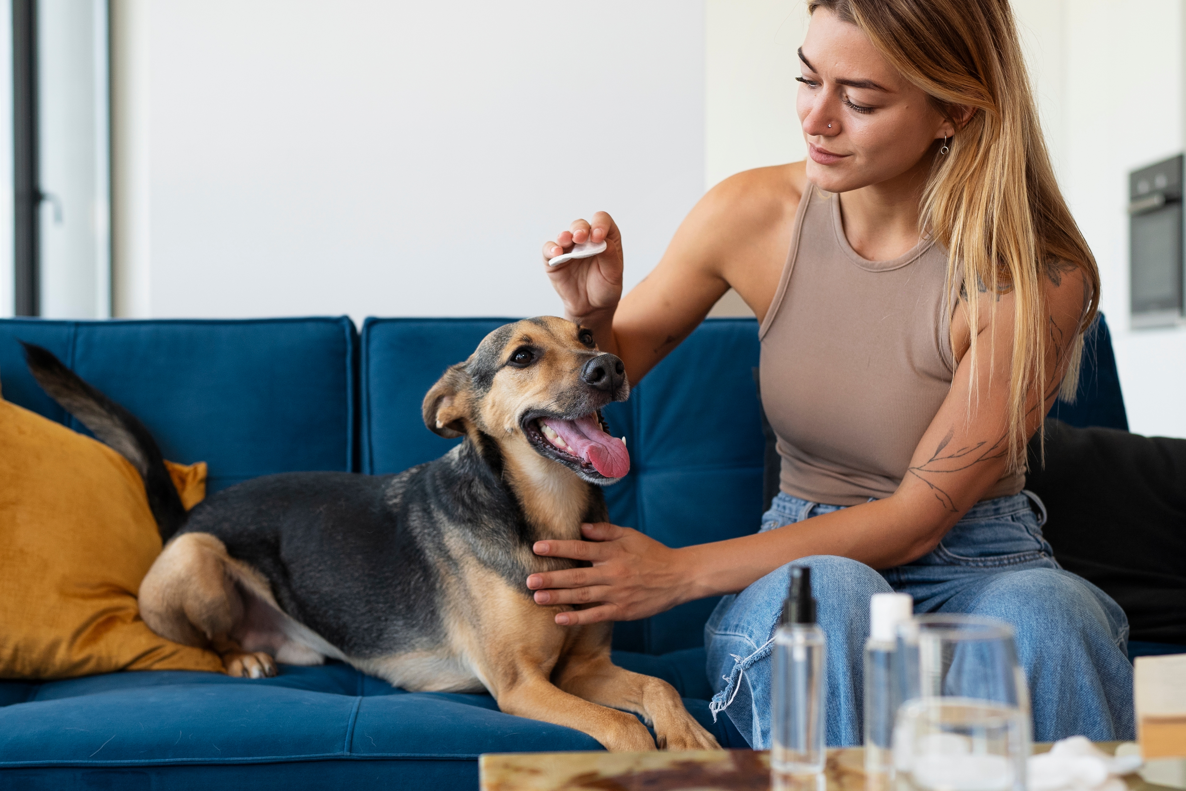 Pet Medications